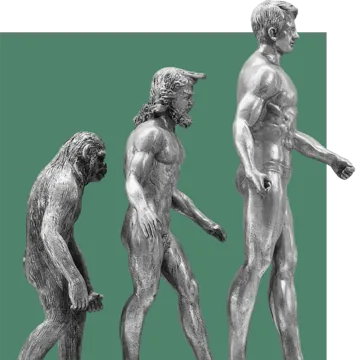 Evolução